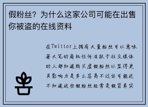 假粉丝？为什么这家公司可能在出售你被盗的在线资料 