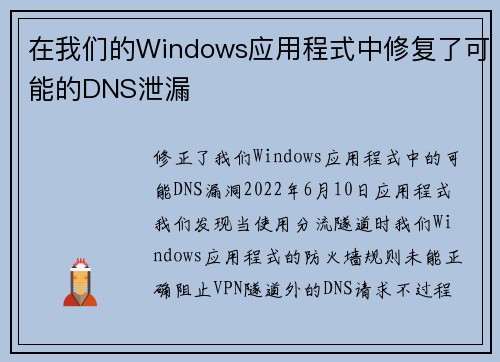 在我们的Windows应用程式中修复了可能的DNS泄漏 
