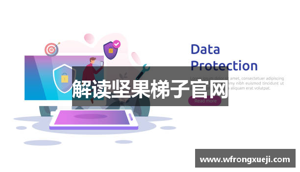 解读坚果梯子官网